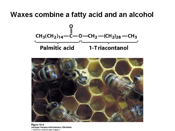 Waxes combine a fatty acid an alcohol 