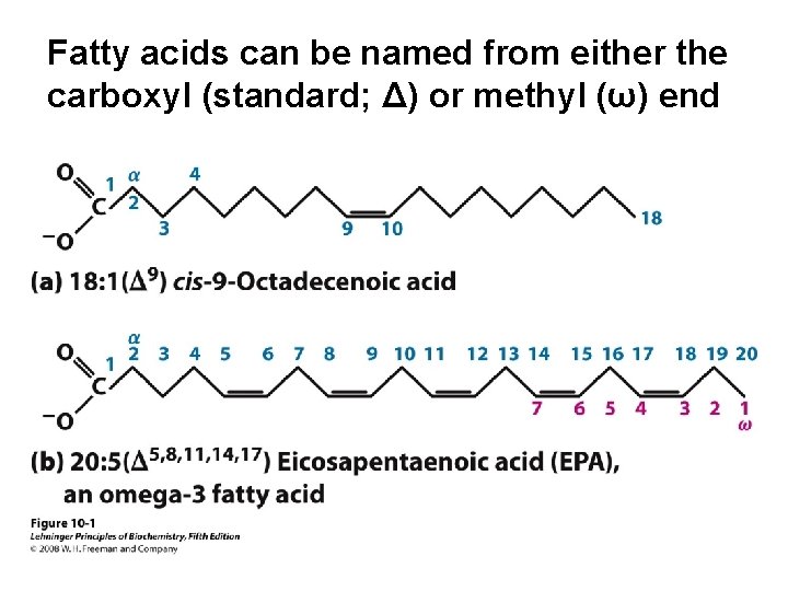 Fatty acids can be named from either the carboxyl (standard; Δ) or methyl (ω)