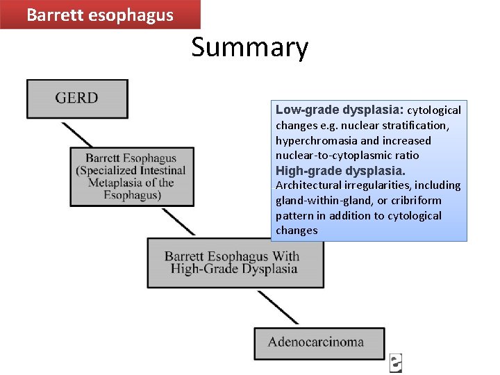 Barrett esophagus Summary Low-grade dysplasia: cytological changes e. g. nuclear stratification, hyperchromasia and increased