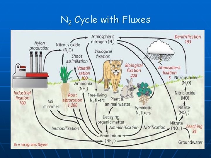 N 2 Cycle with Fluxes 