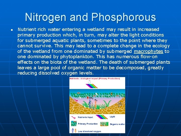 Nitrogen and Phosphorous n Nutrient rich water entering a wetland may result in increased
