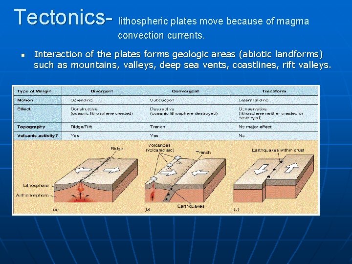 Tectonics- lithospheric plates move because of magma convection currents. n Interaction of the plates