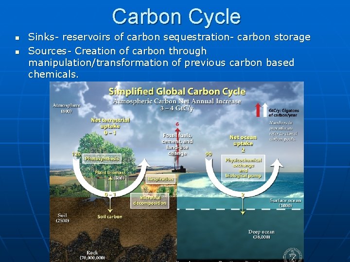Carbon Cycle n n Sinks- reservoirs of carbon sequestration- carbon storage Sources- Creation of