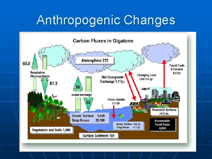 Anthropogenic Changes 