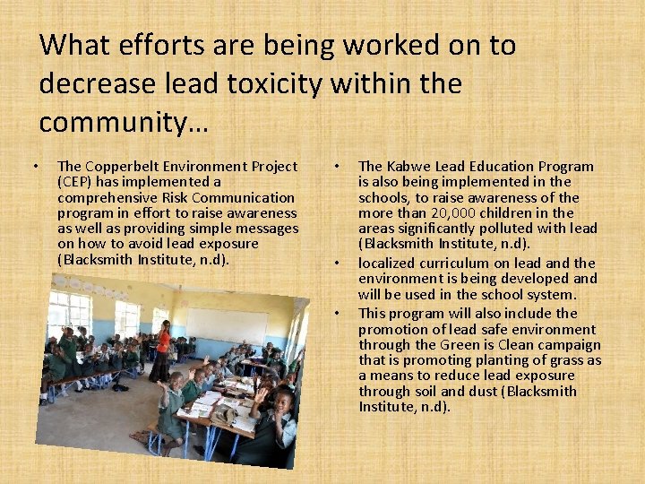 What efforts are being worked on to decrease lead toxicity within the community… • What efforts are being worked on to decrease lead toxicity within the community… •
