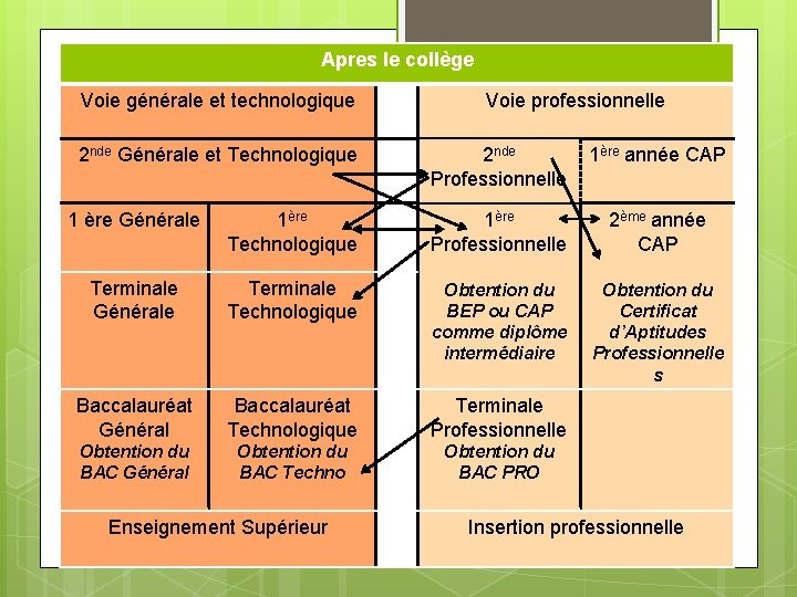 Apres le collège Voie générale et technologique Voie professionnelle 2 nde Générale et Technologique Apres le collège Voie générale et technologique Voie professionnelle 2 nde Générale et Technologique