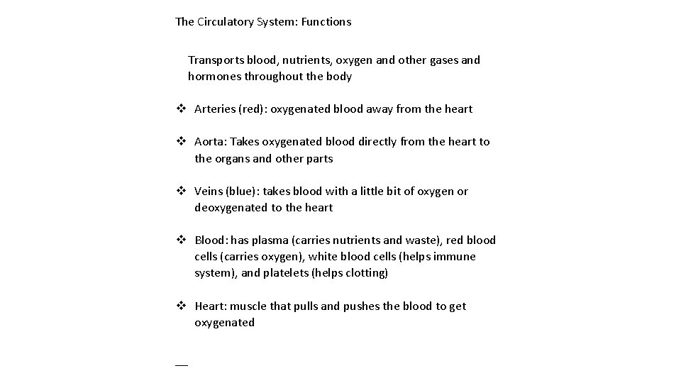 The Circulatory System: Functions Transports blood, nutrients, oxygen and other gases and hormones throughout