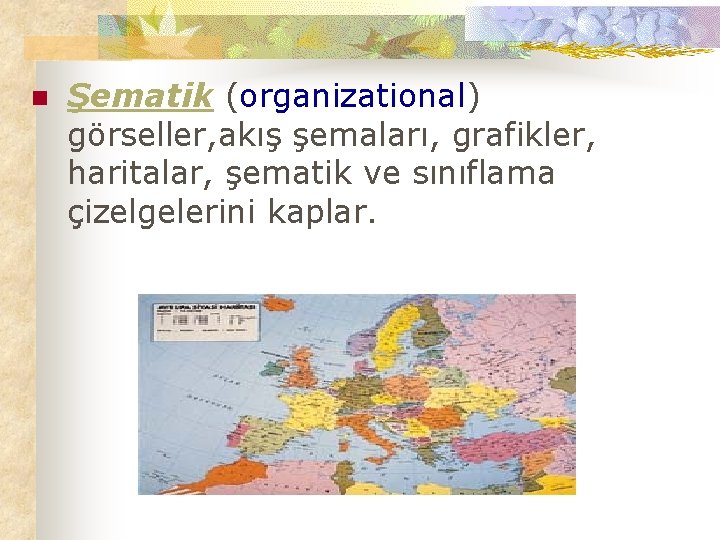 n Şematik (organizational) görseller, akış şemaları, grafikler, haritalar, şematik ve sınıflama çizelgelerini kaplar. 