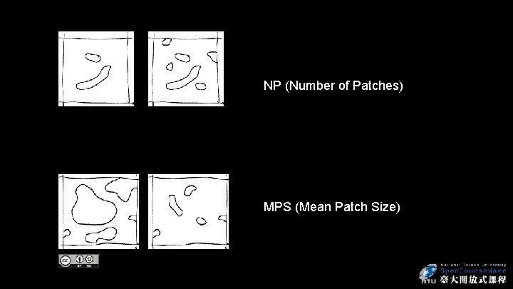 NP (Number of Patches) MPS (Mean Patch Size) 