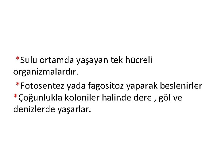 *Sulu ortamda yaşayan tek hücreli organizmalardır. *Fotosentez yada fagositoz yaparak beslenirler *Çoğunlukla koloniler halinde