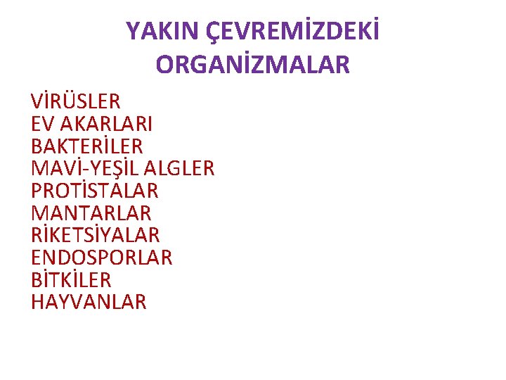 YAKIN ÇEVREMİZDEKİ ORGANİZMALAR VİRÜSLER EV AKARLARI BAKTERİLER MAVİ-YEŞİL ALGLER PROTİSTALAR MANTARLAR RİKETSİYALAR ENDOSPORLAR BİTKİLER