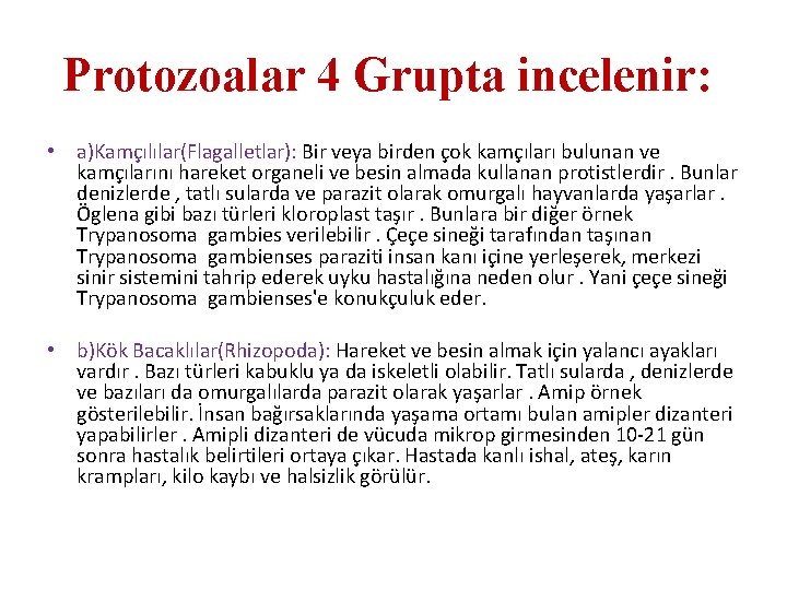 Protozoalar 4 Grupta incelenir: • a)Kamçılılar(Flagalletlar): Bir veya birden çok kamçıları bulunan ve kamçılarını