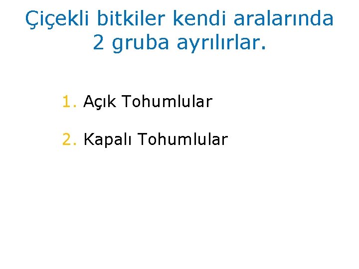 Çiçekli bitkiler kendi aralarında 2 gruba ayrılırlar. 1. Açık Tohumlular 2. Kapalı Tohumlular 