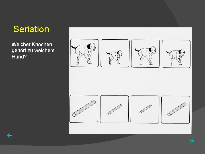 Seriation: Welcher Knochen gehört zu welchem Hund? 