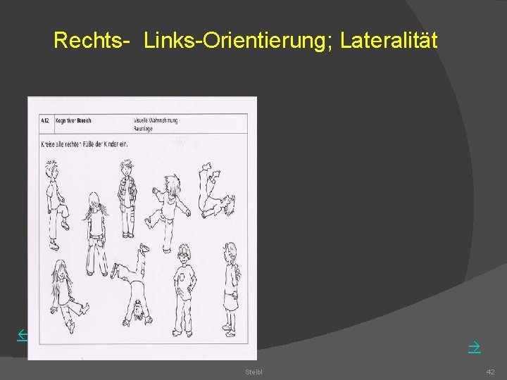 Rechts- Links-Orientierung; Lateralität Steibl 42 