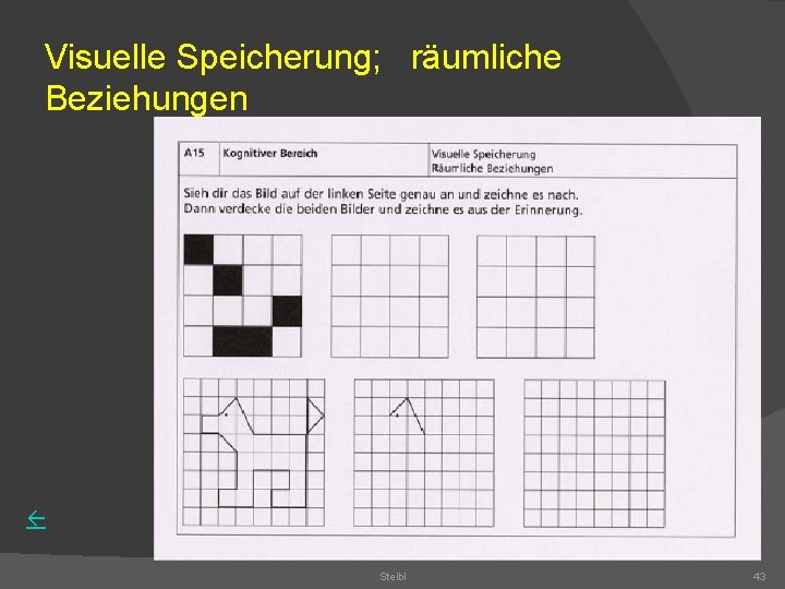 Visuelle Speicherung; räumliche Beziehungen Steibl 43 