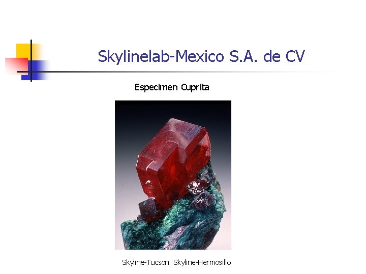Skylinelab-Mexico S. A. de CV Especimen Cuprita Skyline-Tucson Skyline-Hermosillo 