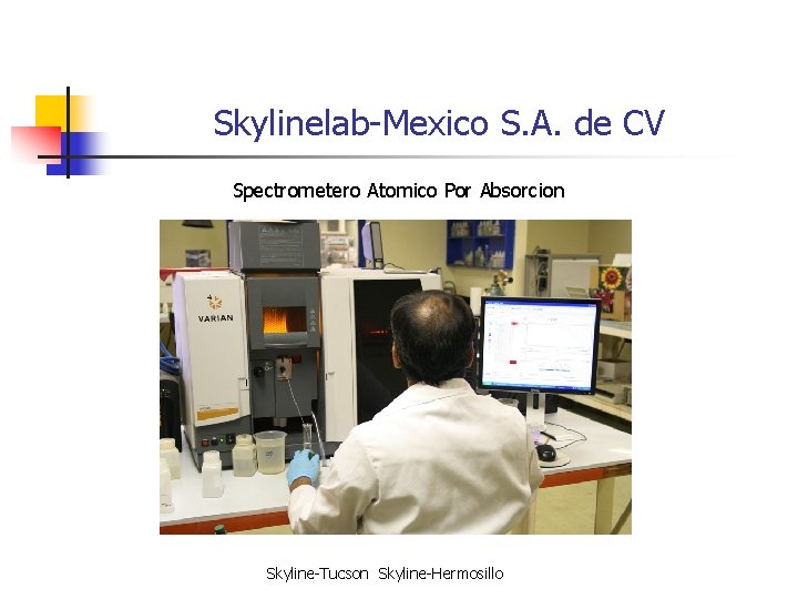 Skylinelab-Mexico S. A. de CV Spectrometero Atomico Por Absorcion Skyline-Tucson Skyline-Hermosillo 