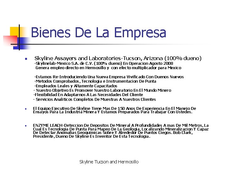 Bienes De La Empresa n Skyline Assayers and Laboratories-Tucson, Arizona (100% dueno) -Skylinelab-Mexico S.