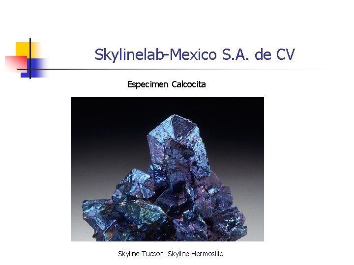 Skylinelab-Mexico S. A. de CV Especimen Calcocita Skyline-Tucson Skyline-Hermosillo 