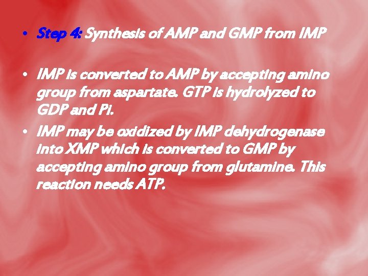  • Step 4: Synthesis of AMP and GMP from IMP • IMP is