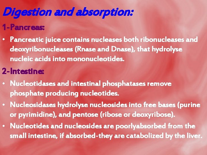 Digestion and absorption: 1 -Pancreas: • Pancreatic juice contains nucleases both ribonucleases and deoxyribonucleases