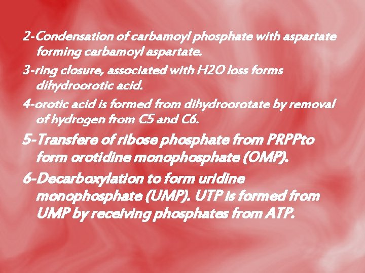 2 -Condensation of carbamoyl phosphate with aspartate forming carbamoyl aspartate. 3 -ring closure, associated
