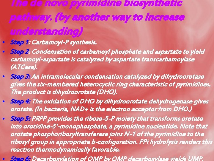 The de novo pyrimidine biosynthetic pathway. (by another way to increase understanding) • Step