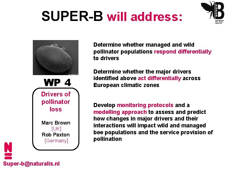 SUPER-B will address: Determine whether managed and wild pollinator populations respond differentially to drivers