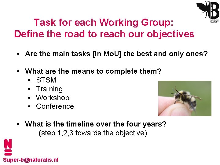 Task for each Working Group: Define the road to reach our objectives • Are