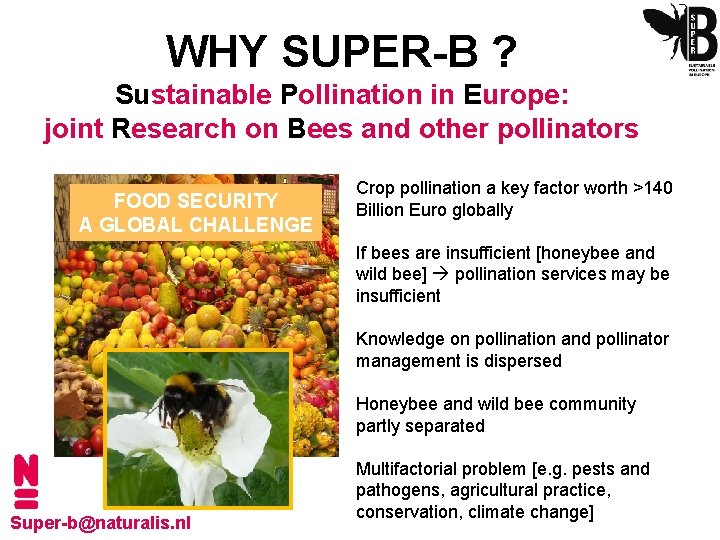 WHY SUPER-B ? Sustainable Pollination in Europe: joint Research on Bees and other pollinators