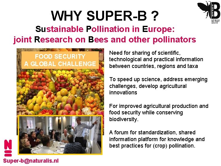 WHY SUPER-B ? Sustainable Pollination in Europe: joint Research on Bees and other pollinators