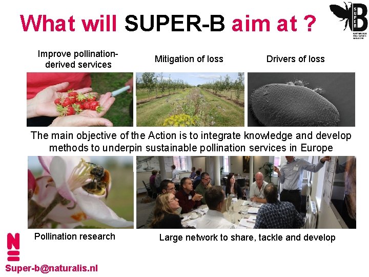What will SUPER-B aim at ? Improve pollinationderived services Mitigation of loss Drivers of
