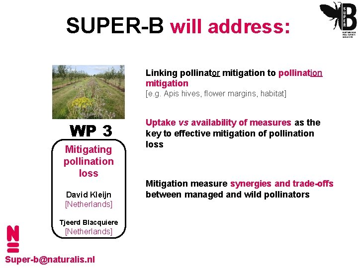 SUPER-B will address: Linking pollinator mitigation to pollination mitigation [e. g. Apis hives, flower