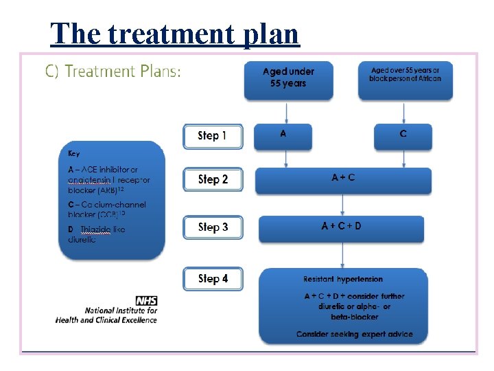 The treatment plan 