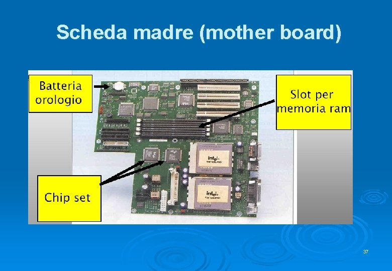 Scheda madre (mother board) 37 