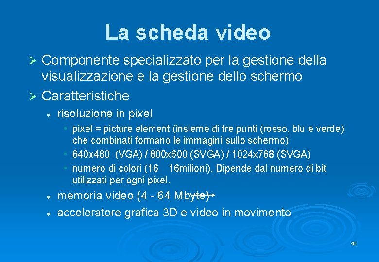 La scheda video Componente specializzato per la gestione della visualizzazione e la gestione dello