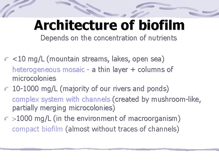 Architecture of biofilm Depends on the concentration of nutrients <10 mg/L (mountain streams, lakes,