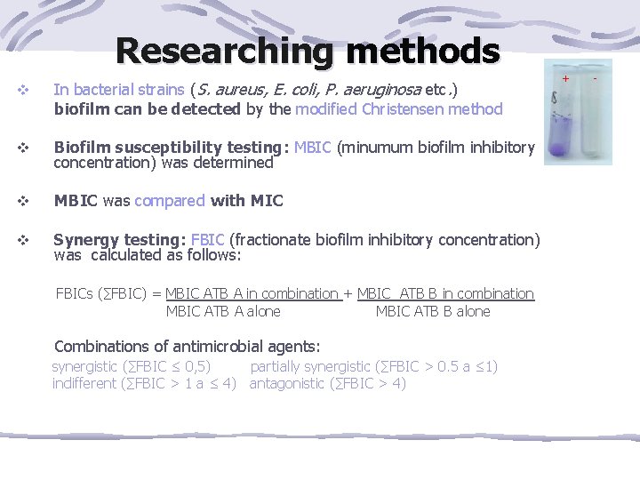 Researching methods + - v In bacterial strains (S. aureus, E. coli, P. aeruginosa