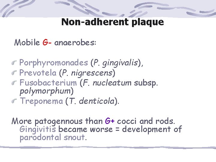 Non-adherent plaque Mobile G- anaerobes: Porphyromonades (P. gingivalis), Prevotela (P. nigrescens) Fusobacterium (F. nucleatum