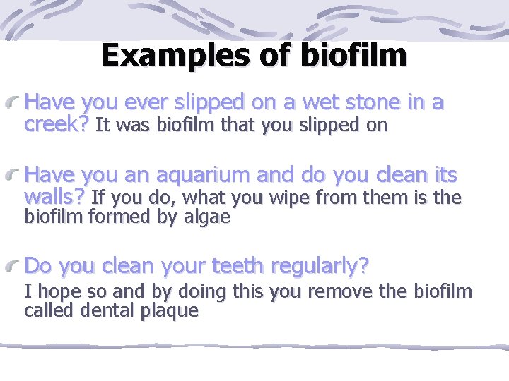 Examples of biofilm Have you ever slipped on a wet stone in a creek?