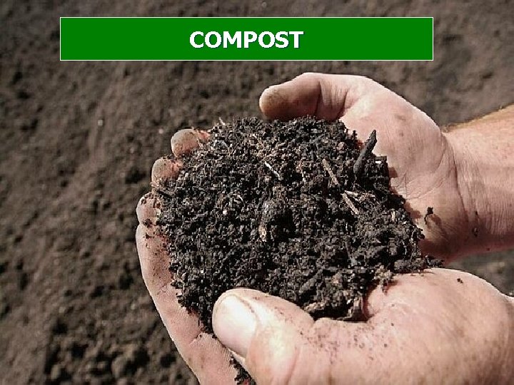 COMPOST 