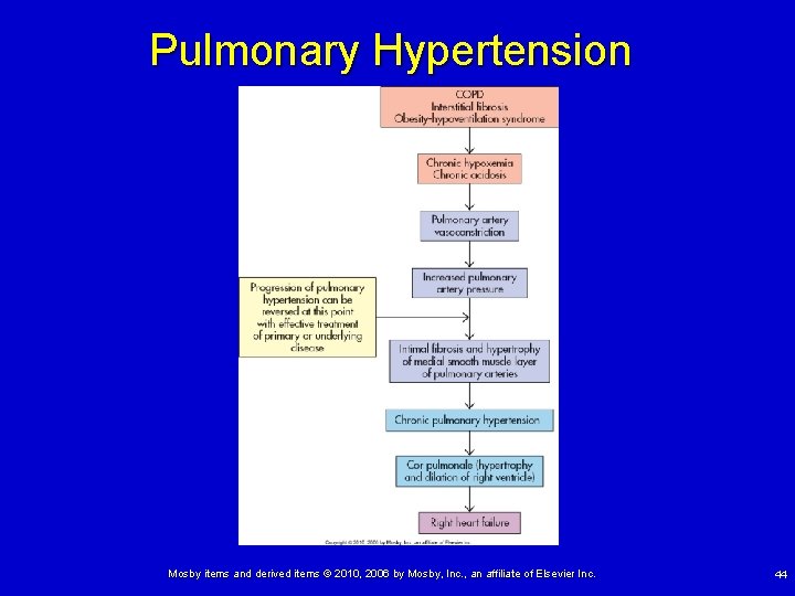 Pulmonary Hypertension Mosby items and derived items © 2010, 2006 by Mosby, Inc. ,