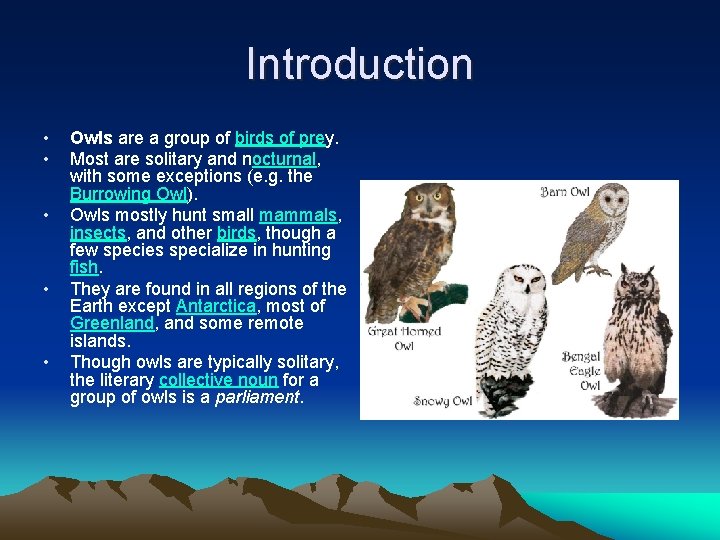 Introduction • • • Owls are a group of birds of prey. Most are