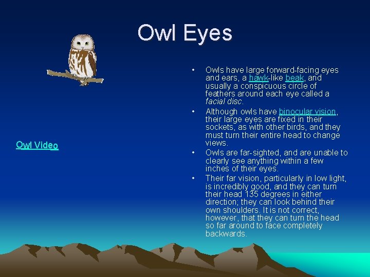 Owl Eyes • • Owl Video • • Owls have large forward-facing eyes and