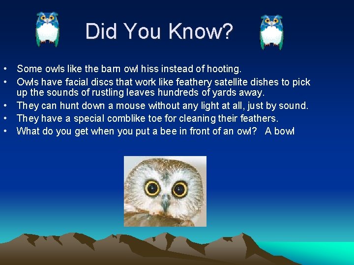 Did You Know? • Some owls like the barn owl hiss instead of hooting.