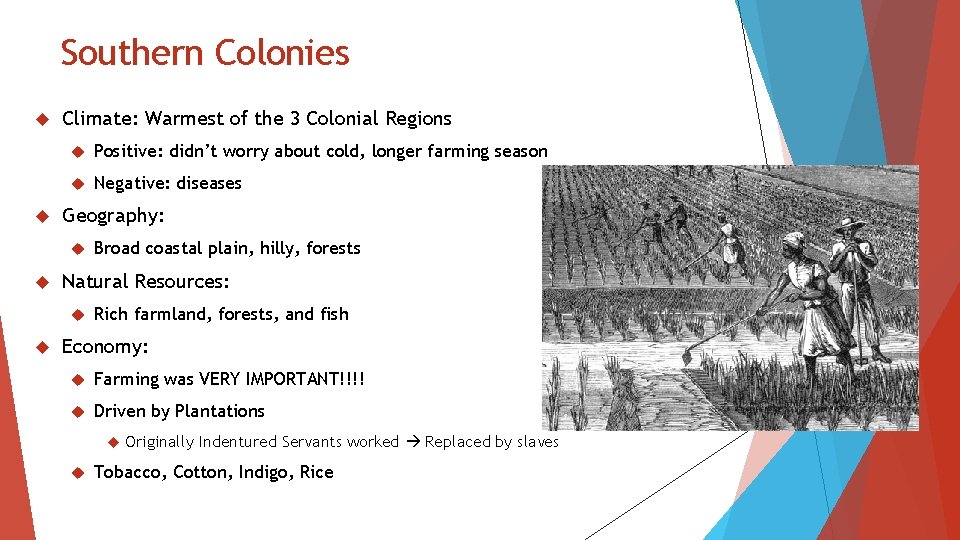 Southern Colonies Climate: Warmest of the 3 Colonial Regions Positive: didn’t worry about cold,