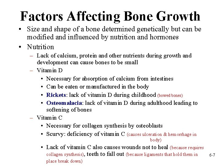 Factors Affecting Bone Growth • Size and shape of a bone determined genetically but