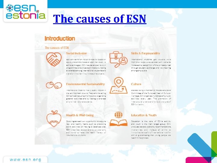 The causes of ESN The causes of ESN