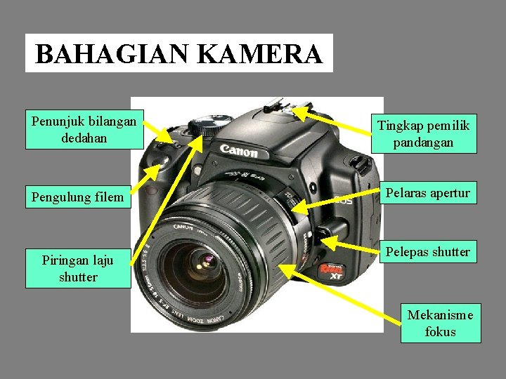 BAHAGIAN KAMERA Penunjuk bilangan dedahan Pengulung filem Piringan laju shutter Tingkap pemilik pandangan Pelaras